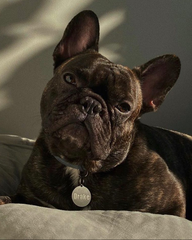 Classic Circle Dog ID Tag