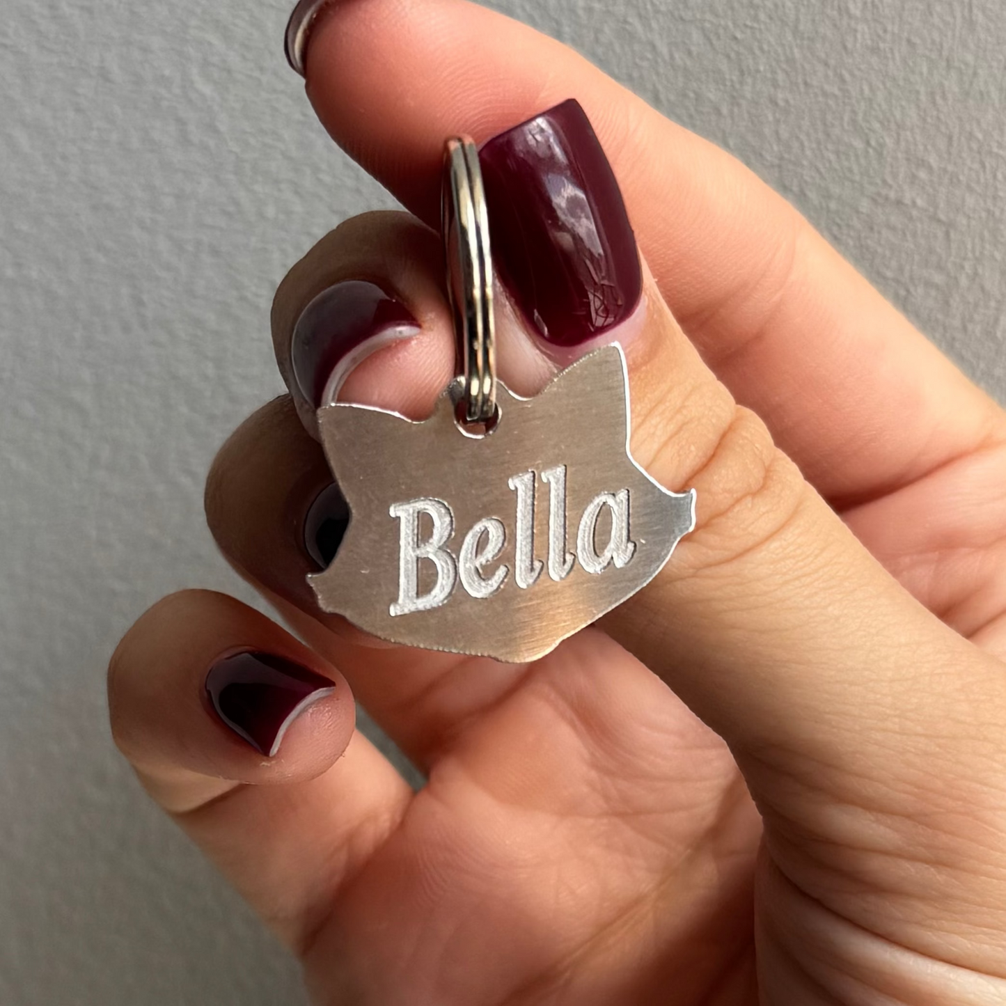 Cat Head ID Tag