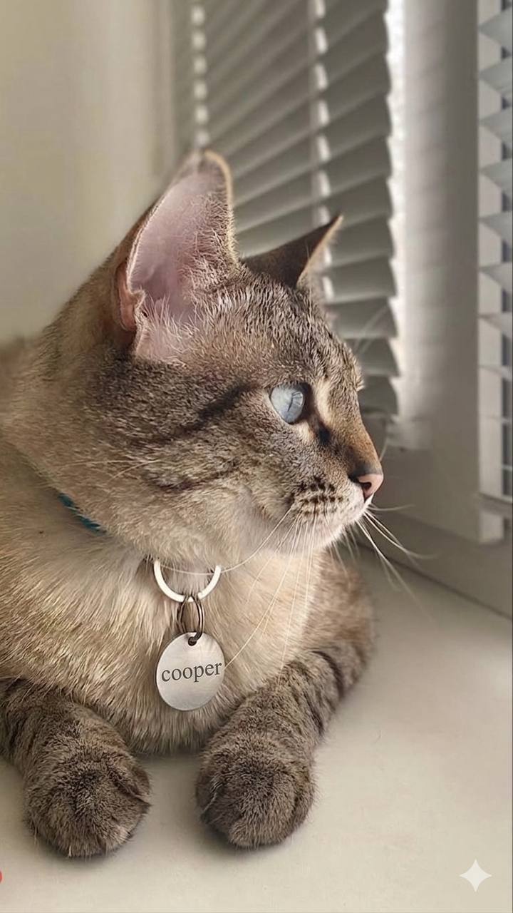 Classic Circle Dog ID Tag