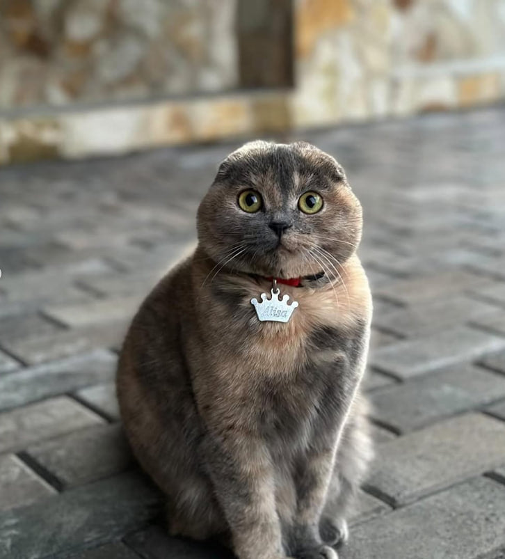 Royal Crown ID Tag